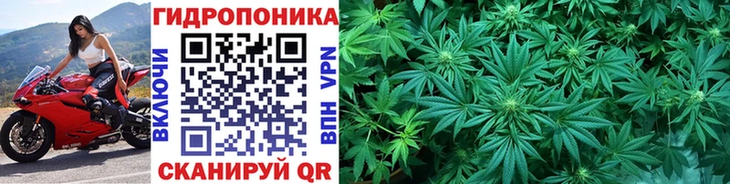 Купить где  Ханты-Мансийск  Конопля конопля 